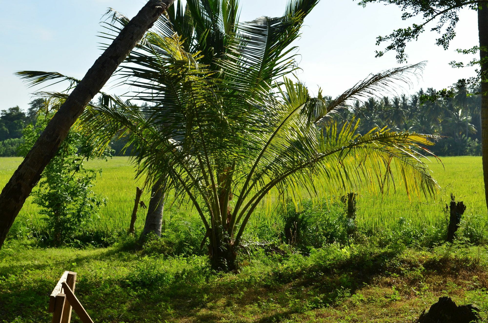 Vallee 69 Eco Villa-Tissa,Yala Tissamaharama Extérieur photo